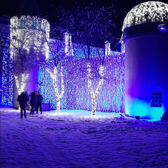 Meet your Posher, Nicholas - Picture 2 of 5